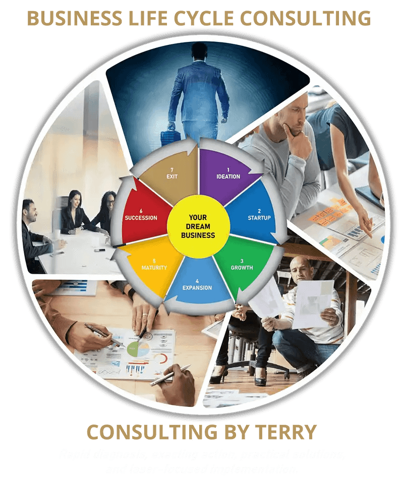 Image-Business-Lifecycle-Consulting-by-Terry at BusinessGuru-TerryHHill.com