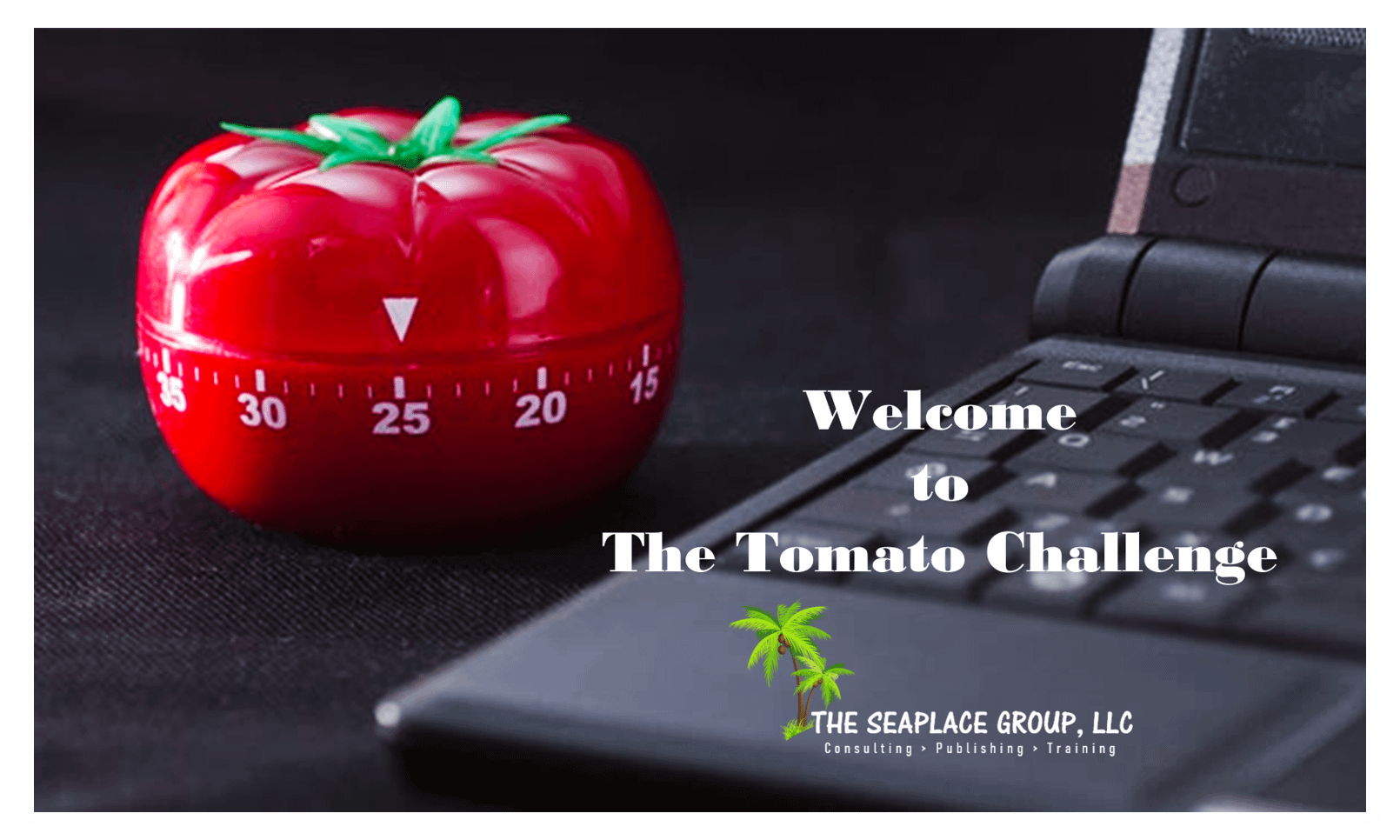 The-Tomato-Challenge at BusinessGuru-TerryHHill.com