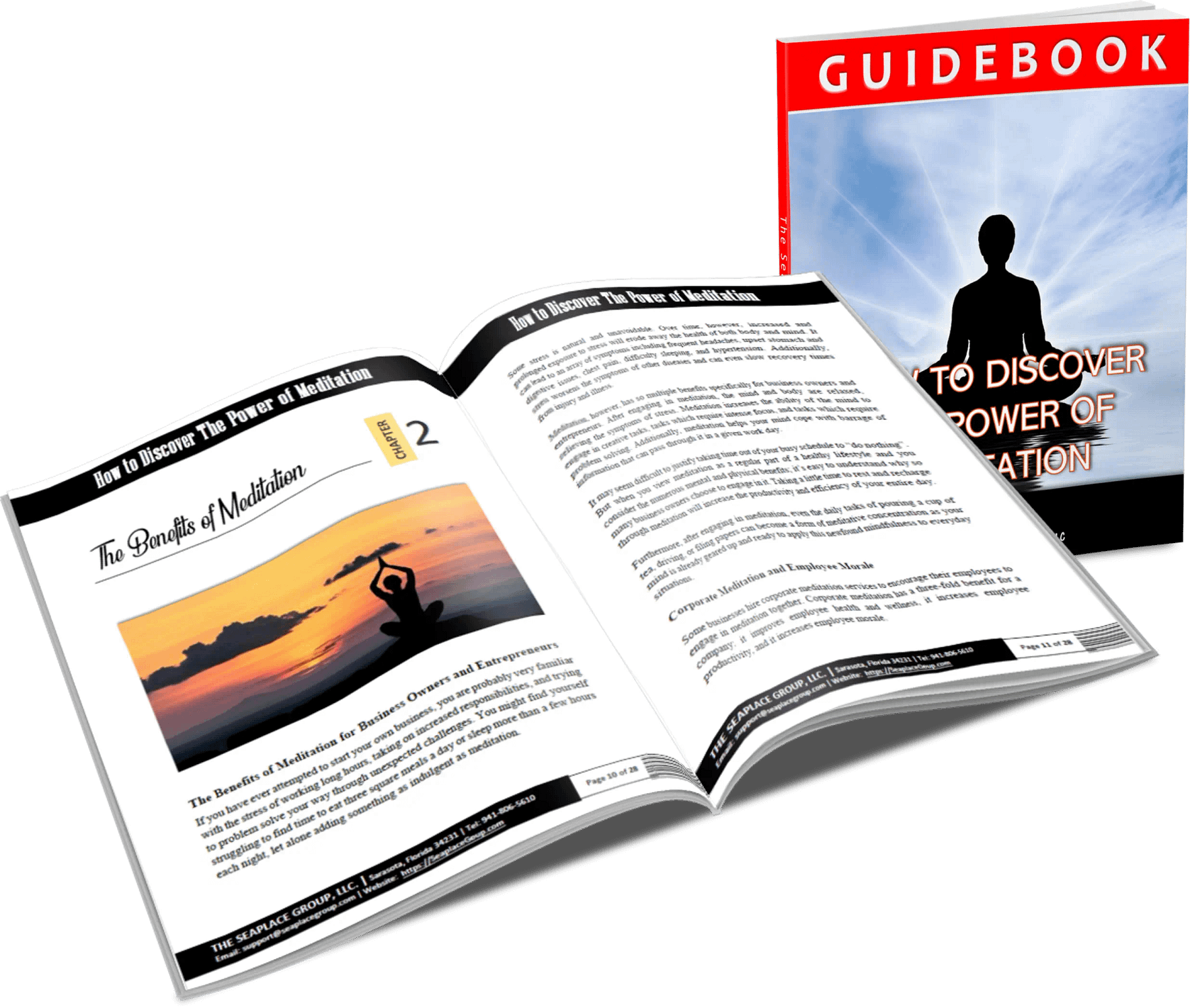 Guidebook-How to Discover the Power of Meditation BusinessGuru-TerryHHill.com