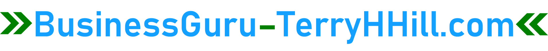 Logo-BusinessGuru-TerryHHill.com