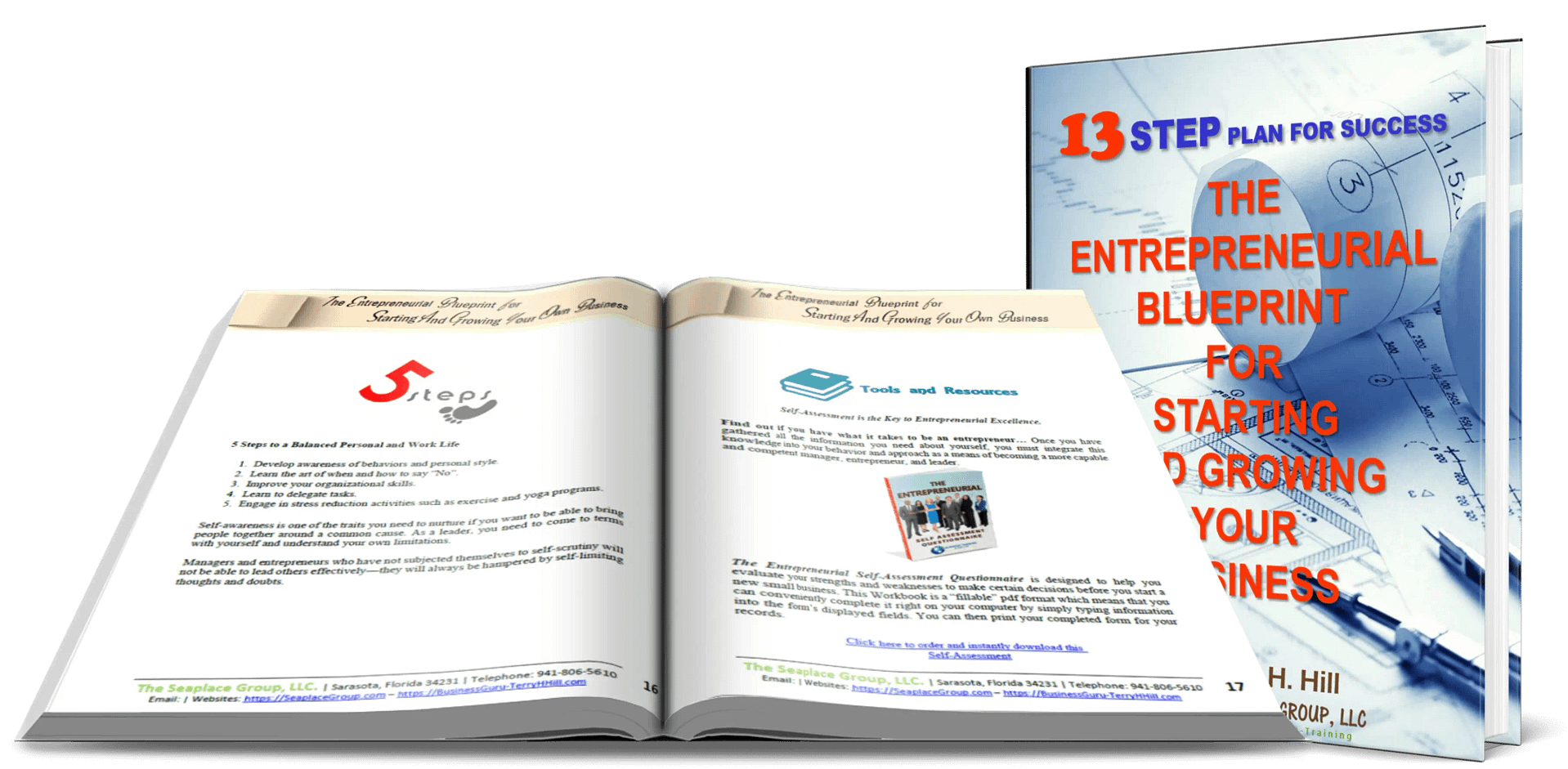 The Entrepreneurial Blueprint for Starting and Growing Your Business is a step-by-step reference guide to provide thoughts and ideas to some of the most pressing issues and challenges you face as a business owner or aspiring entrepreneur.