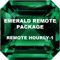 eCommerce Product-Emerald Remote-1