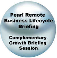 eCommerce-Product-Pearl-Remote-Business-Lifecycle-Briefing-Growth-200