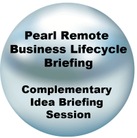 eCommerce-Product-Pearl-Remote-Business-Lifecycle-Briefing-Idea-200