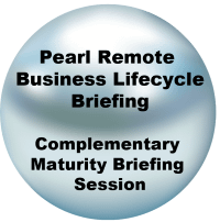 eCommerce-Product-Pearl-Remote-Business-Lifecycle-Briefing-Maturity-200