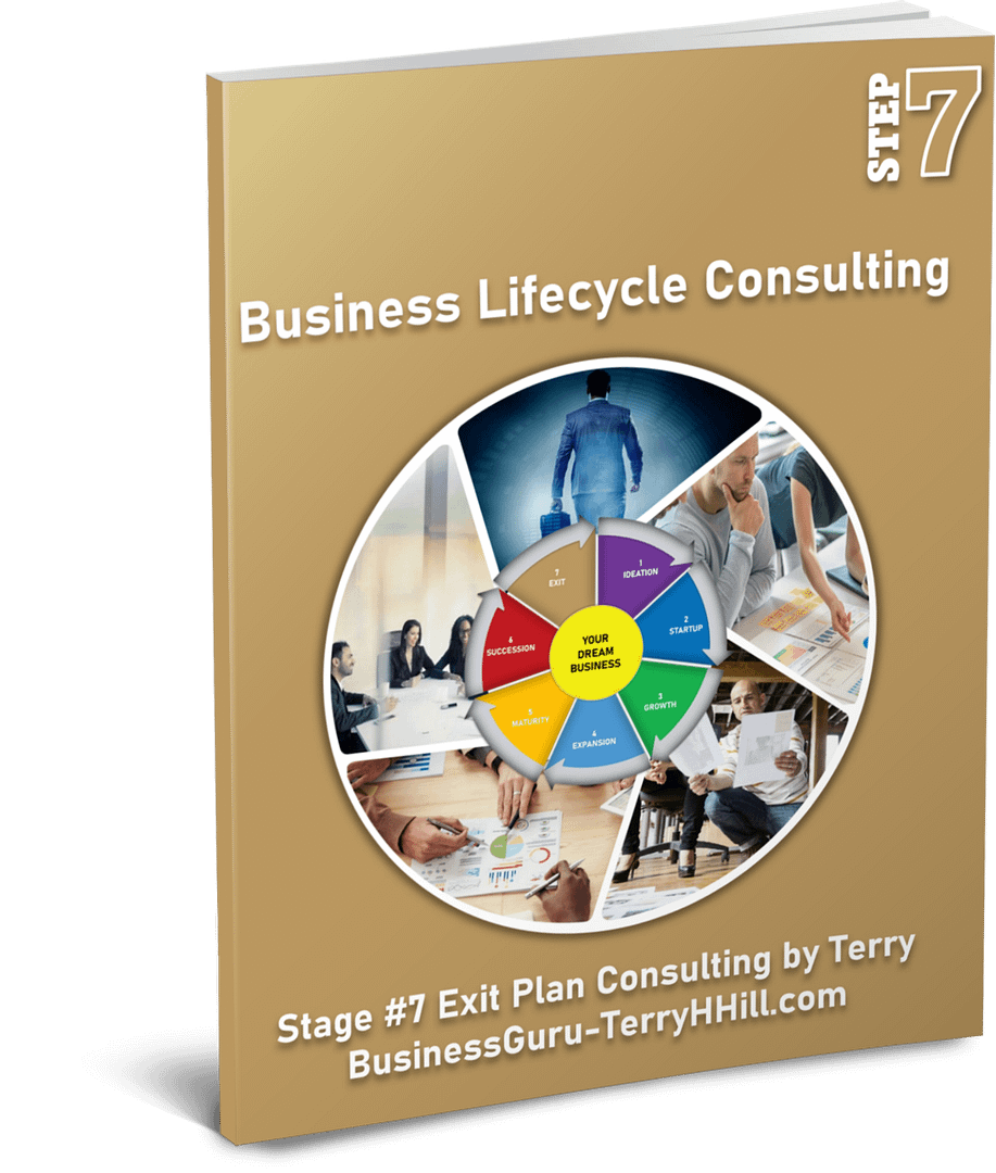 Brochure-Cover-3d-Stage #7 Exit Strategy Consulting