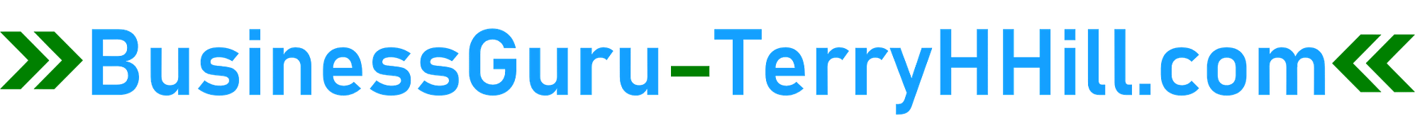 Logo-BusinessGuru-TerryHHill